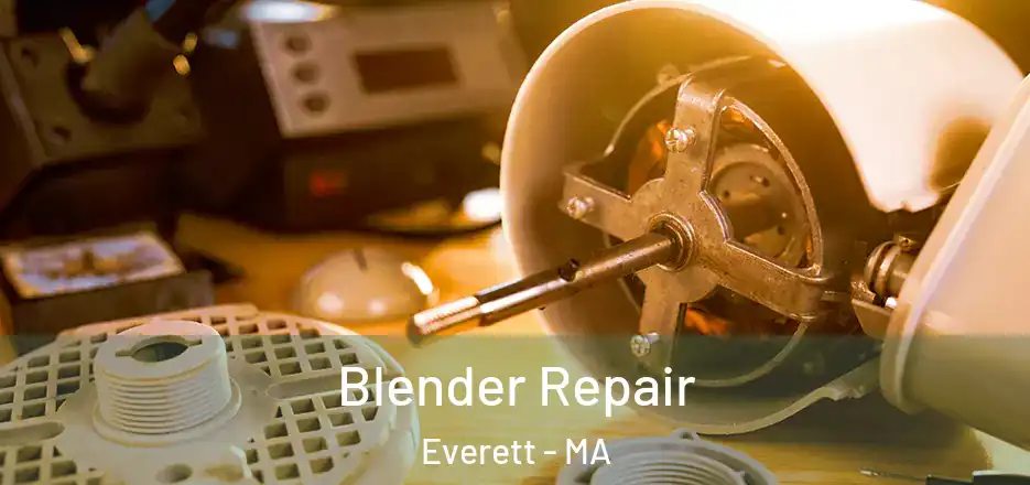 Blender Repair Everett - MA