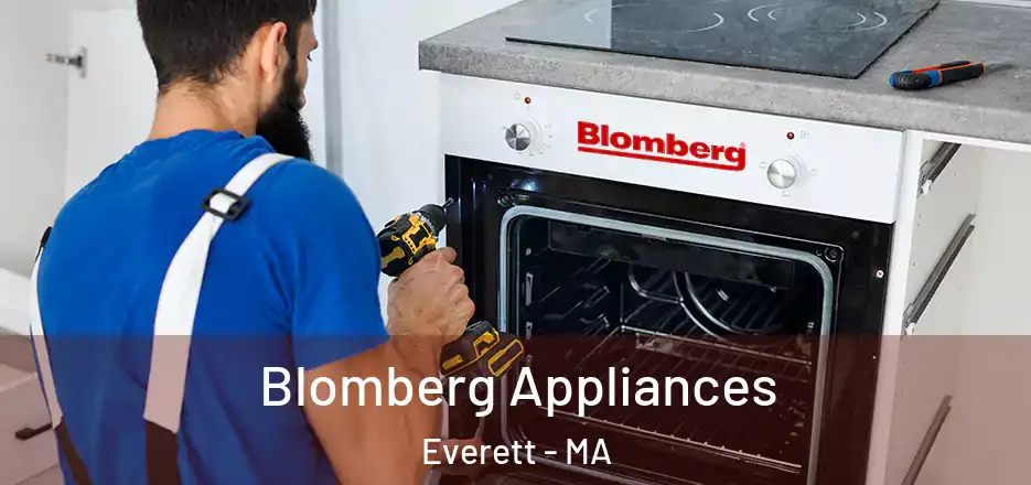 Blomberg Appliances Everett - MA