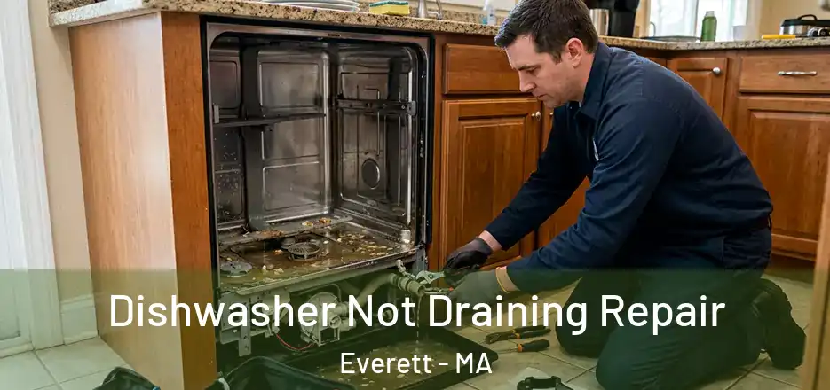 Dishwasher Not Draining Repair Everett - MA