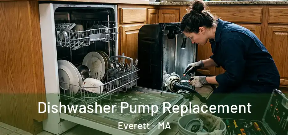  Dishwasher Pump Replacement Everett - MA