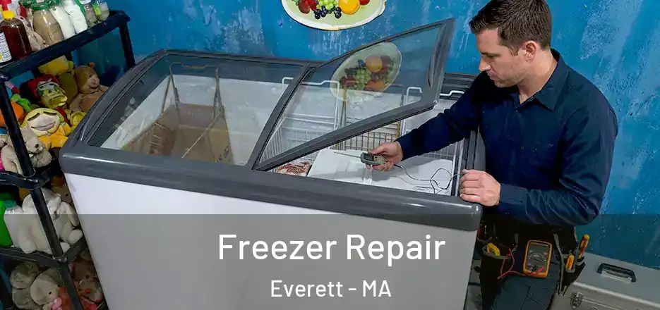 Freezer Repair Everett - MA