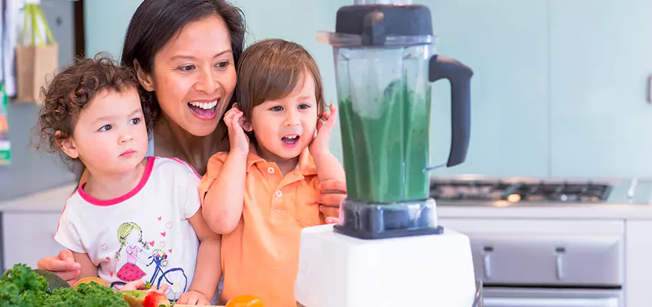 Juicer and Mixer Blender Repair in Everett