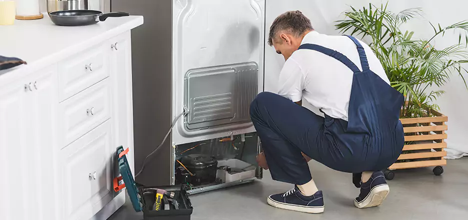 Refrigerator Cooling Repair in Everett