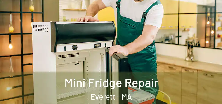 Mini Fridge Repair Everett - MA