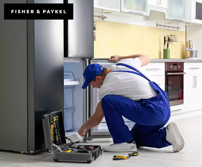 Top-Rated Fisher & Paykel Appliance Experts: Your Brand Specialist in Everett, MA